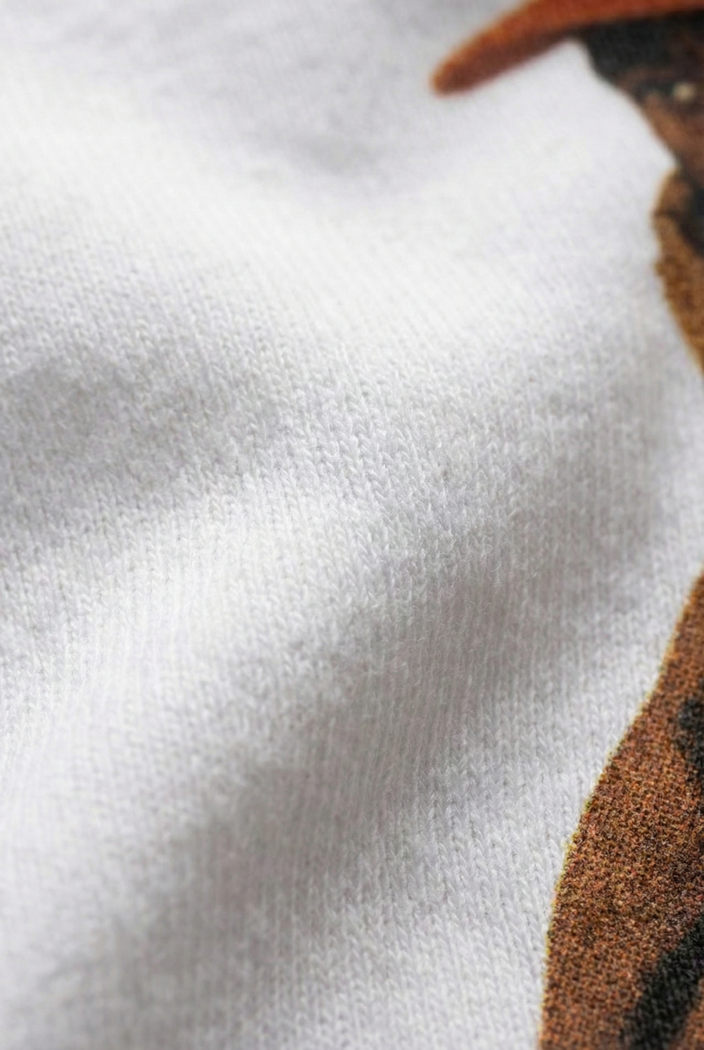 Tyler FlowerBoy - Detalhe 5